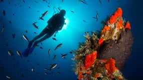 Scuba diving for beginners in crystal clear sea of Halkidiki