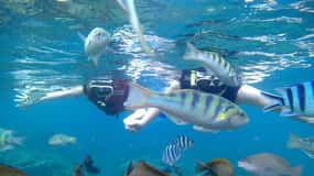 Bali: Błękitna Laguna Snorkeling i wycieczka nad wodospad