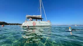 Excursión de medio día en catamarán Isla Presqu'île de Giens - Isla de Porquerolles