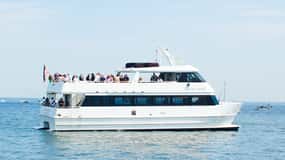 Annapolis: Round Trip Cruise to St. Michaels