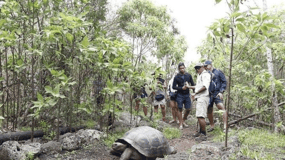 Tour di un giorno intero all'Isola Floreana e alla Grotta dei Pirati