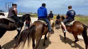 From Bufadora: Horseback Adventure