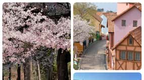 Séoul : Nami, Petite France, Morning Garden (+Healing Park)