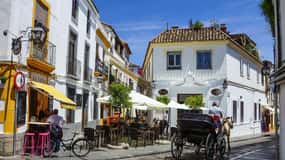 Private trip from Seville to Córdoba for small groups