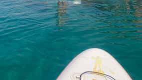 WWF TOUR alla Riserva Naturale di Torre Salsa in SUP