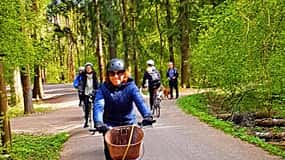 Helsinki: Fahrrad- oder E-Bike Tour, BBQ, Sauna, Parks und Wald