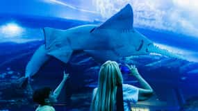 Dubai: Aquarium & Burj Khalifa Levels 124 & 125 Combo Ticket