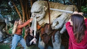 Wellington: Lord of the Rings Half-Day Guided Tour