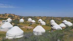 Desert Adventure from Samarkand: Yurt Camp & Aydarkul Escape