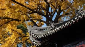 China Hollywood and Yiwu-the offline Temu commercial heaven