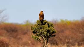4 days Etosha National Park and Swakopmund Lodging