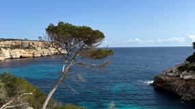 Cala Figuera: Coastal hike easy tour