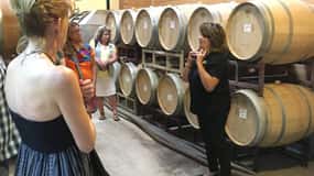 San Antonio: Viagem de 1 dia às vinícolas de Fredericksburg com degustações