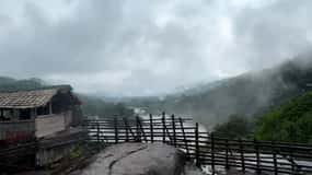 From Kochi: Athirappilly Waterfalls Day Trip with Transfers