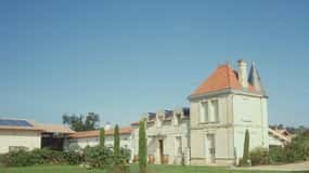 Saint-Émilion: Visita a um vinhedo familiar com degustação de vinhos