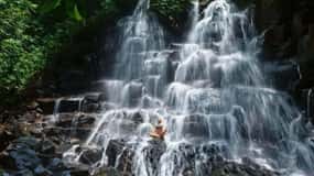 Ubud: Indywidualna wycieczka do Ubud z odbiorem i transportem powrotnym