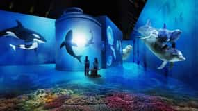 Amsterdam: Fabrique des Lumières De Zee Toegangsbewijs