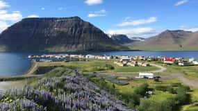 Ísafjörður: Turul satului Flateyri: Natură, cultură, istorie