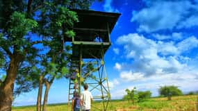 From Banyuwangi: Baluran Wildlife Safari Sunset Tour