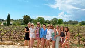 Carvoeiro/Portimão/Alvor: Visita ao Vinho c/ Prova, Tapas, Música