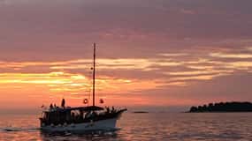 Rovigno: picnic di pesce con tramonto e osservazione dei delfini