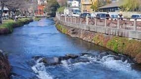 Hakone Private Customize Tour With English speaking driver