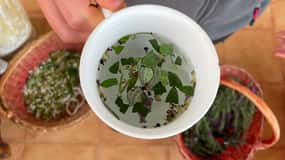 Near Cagliari: Wild Herbs and Healing at "In Our Garden"