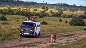 Tour di 5 ore nel Parco Nazionale di Nairobi in veicolo 4x4