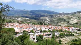 FRÅN PAPHOS: Rundresa på ön (Lefkara, Nicosia, Larnaca)