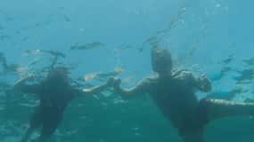 FULL DAY TO SANTA FE ISLAND IN GALAPAGOS