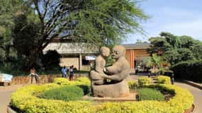 Nairobi National Museum and Snake Park Guided Day Tour