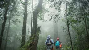 Sri Lanka: 2-Day wildlife tour; rainforest and National park