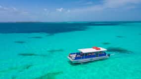 From Miami: Key West with Dolphin Watch or Snorkel Boat