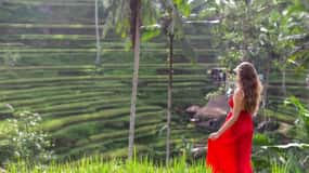 Ubud: Tour particular semi-personalizado com guia de turismo