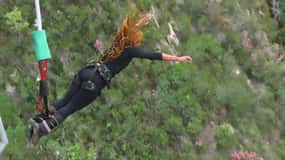 2-Day Garden Route Bungee Jump, Zipline & Shark Diving Tour