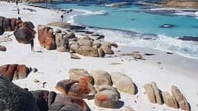 Hobart : Circuit de 4 jours en Tasmanie sauvage