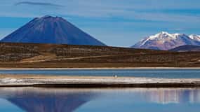From Arequipa: Excursion to the Salinas Lagoon || Full Day |