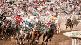 Calgary Stampede: Two-Day Thrill Package