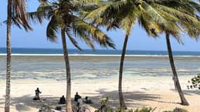 Diani: Full day Guided tour in Tiwi beach & Diani