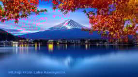 Mount Fuji-Lake Kawaguchi Private Tour with Bilingual Driver