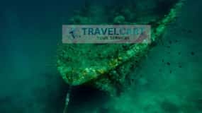 Coron Reef & Wrecks Tour