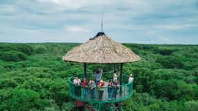 From Ho Chi Minh City: Can Gio Mangrove Forest Day Tour