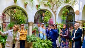 Din Sevilla: Cordoba, Moscheea și Carmona excursie de o zi