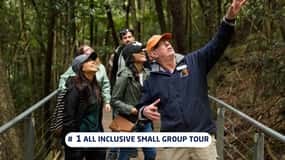 Sydney: Blue Mountains Trip with Lunch*, Cruise & Options