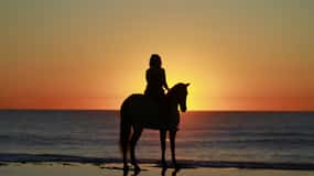 Tamarindo: Ridning till Conchal Beach Guanacaste, Costa Rica
