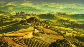 Full-Day Langhe Region Tour with Wine Tasting Experience
