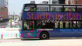 1-Day Hop-on/Hop-off Bus Tour of Hamburg Line D