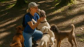 Private Truffle‑Hunting Tour from Belgrade – Lunch with Wine