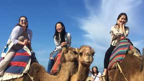 Tangier Private Half-Day Tour + Camel Ride + Add-on: Lunch