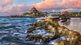 From Playa del Carmen: Xcaret Park All Inclusive